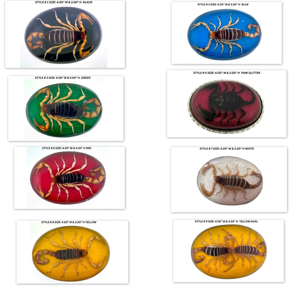Vintage Real Scorpion Belt Buckle Preserved Inlay Zodiac Sign Men Women Lucky
