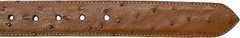 Genuine Exotic Full Quill Ostrich Skin Western Belt with Removable Buckle-Cognac