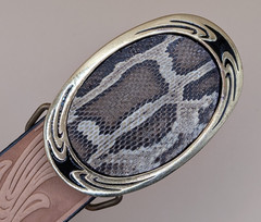 Real Floria Burmese Python Insert Belt Buckle made in USA