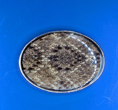 Small Rattlesnake Skin Belt Buckle with Epoxy Overlay made in USA