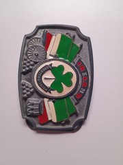 Tanside Ltd Ireland Fighting Irish Belt Buckle W/Shamrock Flag Vintage 2004DD236