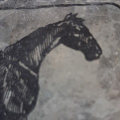 Rectangle Western Horse Print , Metal Braided Edge, Silver/Black