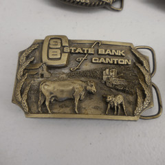 Vintage State Bank of Canton Belt Buckle Collection 80s Hunting Farms Americana