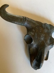 Belt Buckle Longhorn Cow Scull Brass Unmarked