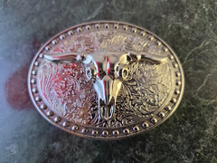 Vintage Western Longhorn Bull Cow Skull Belt Buckle – Silver Chrome Rodeo Cowboy