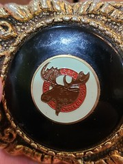 Vintage Loyal Order Of Moose Brass Belt Buckle P.A.P, HOWDY