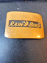 Vtg Rain Bird Logo Brass Belt Buckle