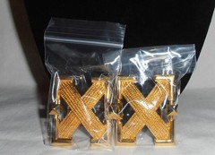 Woman&rsquo;s Gold Tone Belt Buckle Set
