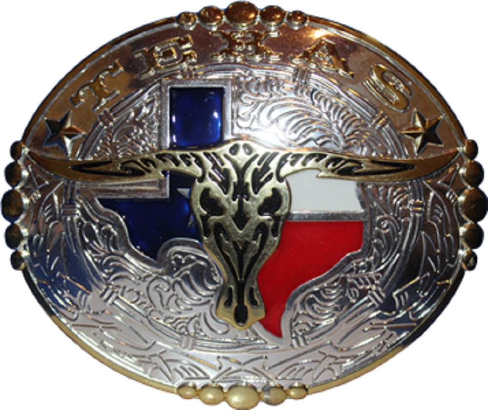 Texas Texans Horns Lone Star Gold and Silver Belt Buckle