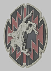 Rodeo Belt Buckles Silver Metal Cowgirl Cowboy Men Women Vintage Texas State Red