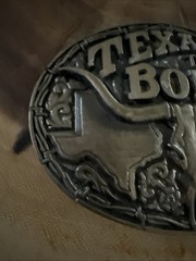 Texas To The Bone Belt Buckle Longhorn Skull Star Western Antique Gold