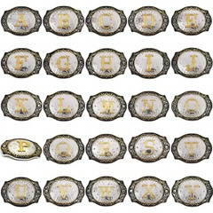 INITIAL  » A-Z  » RODEO COWBOY LETTER SHINE GOLD SILVER WESTERN BELT BUCKLE US