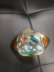 The Great American Belt Buckle Co 1982 Football Serialized solid Brass Enameled