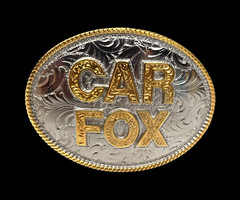 Montana Silversmiths Belt Buckle Car Fox Custom Oval Engraved Filigree Design 4&Prime;