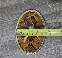 Taxidermy Rattlesnake Head Belt Buckle
