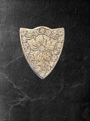 1.5” Western Design Cowgirl Style Crystal Belt Buckle