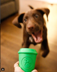 Sodapup Coffee Cup Treat Dispenser Durable Rubber Chew Toy Green – Dog & Puppy