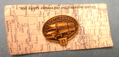 ROADWAY TRANSPORT 13 YEARS SAFE DRIVER SAFETY AWARD PIN