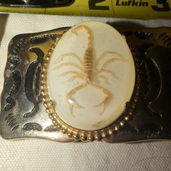 Vintage 1980s Gold Tone Western Belt Buckle Scorpion Cameo Cowboy Unisex