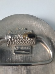 Real Rattlesnake Insert Belt Buckle SSI Made in USA