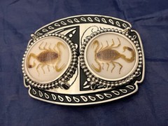 Silver tone Scorpion Belt Buckle and Bolo Set