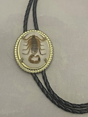 Gold tone Scorpion Belt Buckle and Bolo Set