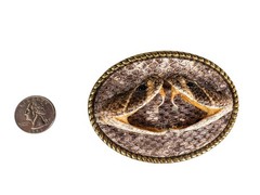 Real Rattlesnake Belt Buckle: Dueling heads in Oval (598-BB402-G6601)