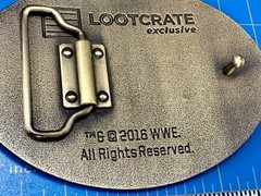 Dean Ambrose Jon Moxley Belt Buckle Wwe Loot Crate Exclusive 2016 Wrestling