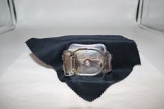 Horse in a Horseshoe Belt Buckle