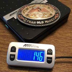 Frontier Brand WSQHA Q.H. Quarter Horse 2 Year Old Mares Trophy Belt Buckle