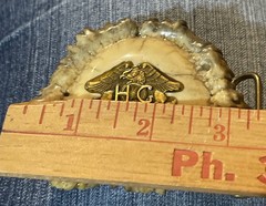 Vintage Elk Antler Belt Buckle With Eagle Harley Owners Group Motorcycle
