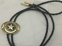 3 piece set Texas Seal Set: Belt Buckle, Bolo and Key Ring (Gold)