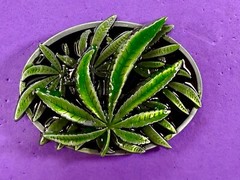 Marijuana Cannabis Pot Leaf Weed Enameled 3D Dimensional Layered Belt Buckle
