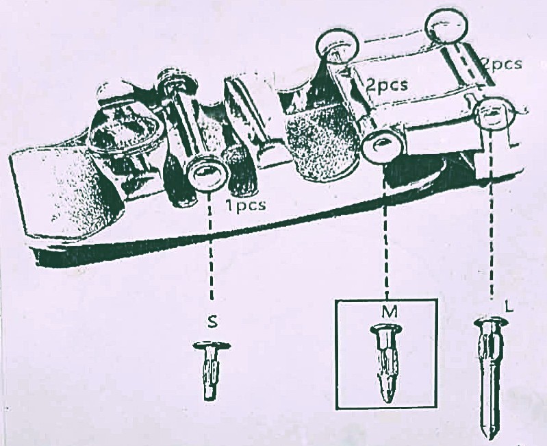 Sliding Rachet Belt Buckle Repair/Replacement Pin~Screw~Rivet~Nail~Hardware~Part