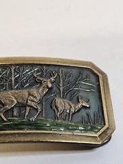 VTG Deer Hunting Belt Buckle 1976 Rectangle 3.25 By 2.25 in Number 520 Made USA