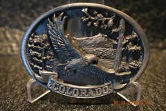 Colorado Belt Buckle Eagle In Flight 1986 C+J Inc U.S.A.