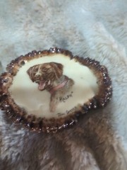 Artisan Hand Made Ellk Antler Buckle NICE!!