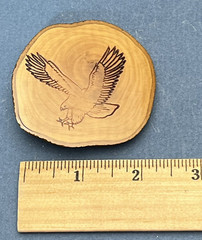 Eagle Landing Belt Buckle Wood Burning Design Patriotic American READ