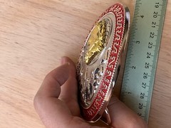 Western Buckle Gold Silver Red Horse Head Cowboy Oval 2 » Hebilla Vaquero