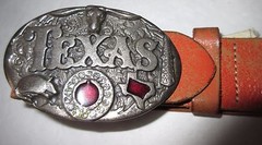 Texas Buckle and Belt Western Silver Metal with Purple Stone, Armadillo Sz 37