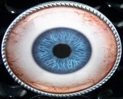 Blue Human Eye Belt Buckle – Realistic Taxidermy Eyeball Silver Artisan Buckle
