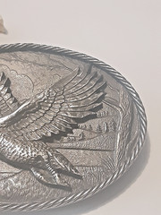Flying Goose Western Belt Buckle Brass Great American Buckle Co Chicago 1980