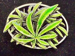 Marijuana Cannabis Pot Leaf Weed Enameled 3D Dimensional Layered Belt Buckle