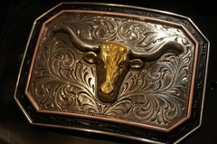 Ariat Western Rectangle Longhorn Silver & Gold tone Belt Buckle A37057