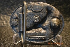 Colorado Belt Buckle Eagle In Flight 1986 C+J Inc U.S.A.