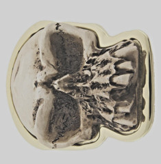 Skull Belt Buckle Gold Metal Halloween Party Costume Vintage Retro Bikers Gothic