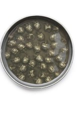Men Women Silver Metal Buckle Gothic Fashion Brown Mini Skulls Biker Trucker