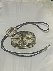 Gold tone Scorpion Belt Buckle and Bolo Set