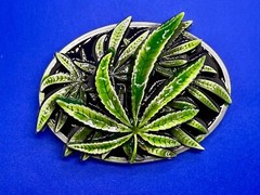 Marijuana Cannabis Pot Leaf Weed Enameled 3D Dimensional Layered Belt Buckle