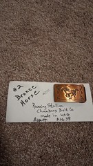 Assorted Belt Buckle Bronze/Silver Oval/Rectangular Graphic Print